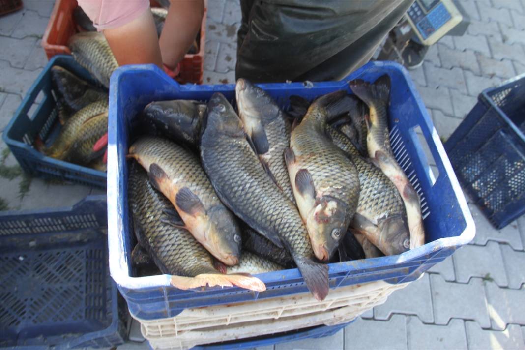 Sezon açıldı, Konya’da avcıların yüzü gülüyor 18